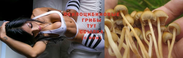 экстази Алексеевка