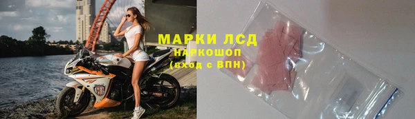 прущие грибы Семилуки